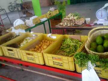 Productos : Distribuidora de verduras JRCD