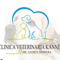 Servicios : Clínica Veterinaria Kannes - Consulta y urgencias