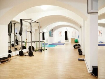 Vermiete Gym pro H: 80 m2 Trainingsraum + Garten in 1020 Wien 