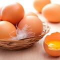Productos : Cubeta de huevos de galpon tipo A