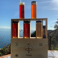 Les miels : Miel de châtaignier AOP miel de Corse 