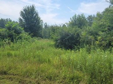 Land Available for Lease: Land available for beekeepers 