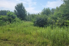 Land Available for Lease: Land available for beekeepers 