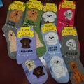 Comprar ahora: Foozys Canine Socks. 17 pair assorted