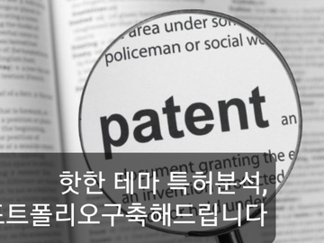  유료 서비스: 제품, 특허 조사 분석및 전략