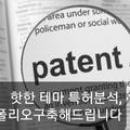 유료 서비스: 제품, 특허 조사 분석및 전략
