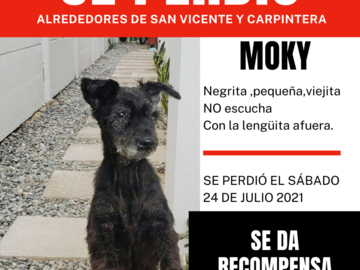 Anuncio: Desaparecida Moky