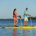 For Rent: Hobie Mirage Eclipse 12' Stand Up Pedal Boards X 6 