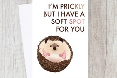  : Prickly Love Sarcastic Hedgehog Romantic Card | Love, Couple