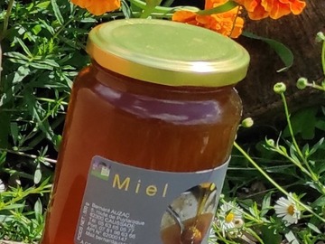 Les miels : De la ruche à la cuillère