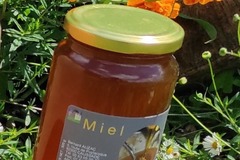 Les miels : De la ruche à la cuillère