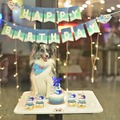 Price Per Hour: Pets Birthday Party