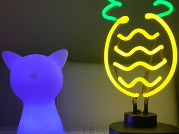 Selling with online payment: Night light