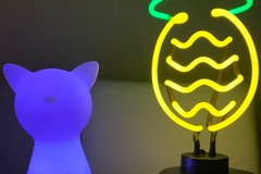 Selling with online payment: Night light