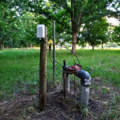  : LoRaWAN irrigation saves 30% water on pecan farm