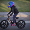 For Rent: MotoMonkey  Kids Electric bike