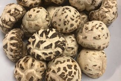 Selling: Chinese dried mushroom (Fa Goo) 100g