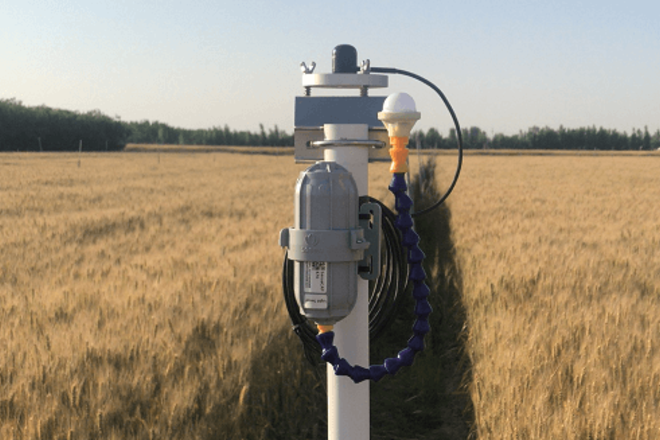 Light Intensity Sensor - SenseCAP (LoRaWAN®)