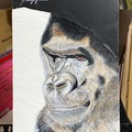 Sell Artworks: Gorilla 