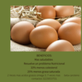Productos : Huevos orgánicos. Gallinas felices