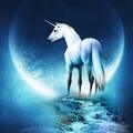 Selling: Mystical Unicorn Reading 