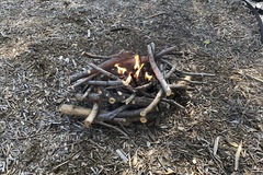 Daily Rental: Faux Campfire