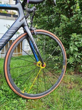 Canyon endurace cf 9.0 hotsell pro