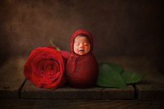 Fixed Price Packages: Newborn Photography Services
