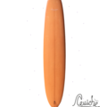 For Rent: Ceviche Surf 9'2'' Pig Longboard
