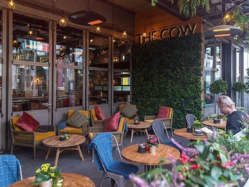 Free | Book a table: Make a perfect decision at The Cow