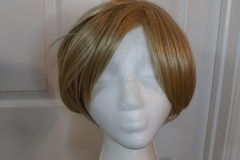 Selling with online payment: Sandy blonde short wig