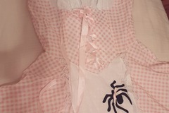 Selling with online payment: Little Miss Muffet Maid Dress