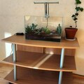Selling: Small wooden TV stand