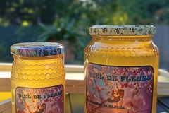 Les miels : Vente miel de Fleurs