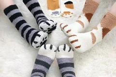 Comprar ahora: 50 pairs of coral fleece cat paw socks