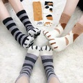 Buy Now: 50 pairs of coral fleece cat paw socks