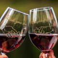  : Complete My Life Red Wine Custom Wine Glass pairs