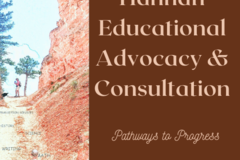Offer Product/ Services: Educational Advocacy/ Educational Consultation