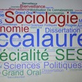 Offering: Cours particuliers de SES - grand oral