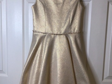 Selling A Singular Item: Girls party dress