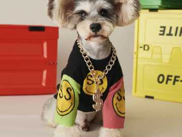 Comprar ahora: 50pcs Of Pet Necklace dog collar with dollar pendant