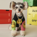 Comprar ahora: 50pcs Of Pet Necklace dog collar with dollar pendant