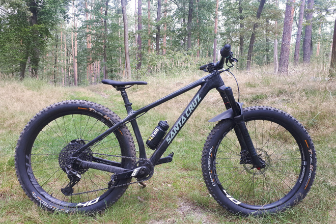 Santa cruz chameleon c best sale