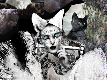 Sell Artworks: Catwomans cats