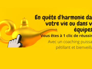 Offering: Coaching professionnel