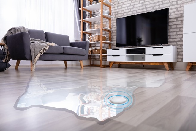 Indoor Flood Sensor (LoRaWAN®)