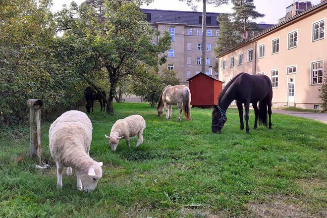 12m2 työhuone entisessä parantolassa 1h matkan päässä Helsingistä