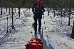 Renting out (by week): Fjellpulken X-Country 144cm (4kpl)