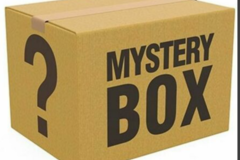 Buy Now: Holiday mystery lot
