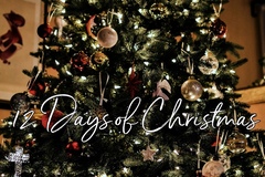 Selling: 12 DAYS OF CHRISTMAS 